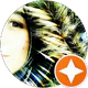 Merve Korkmaz profil fotoğrafı