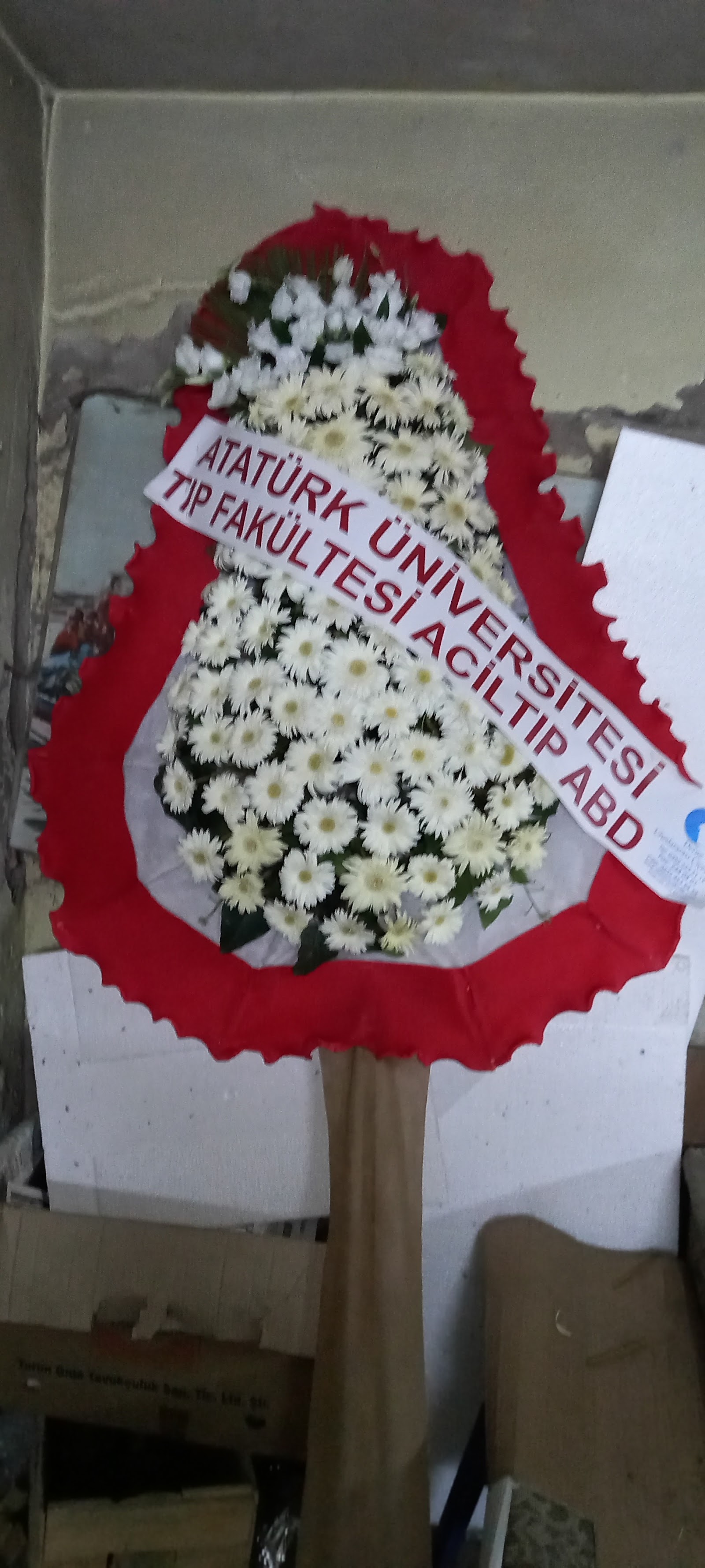 Defne Uluslararası Çiçekcilik
